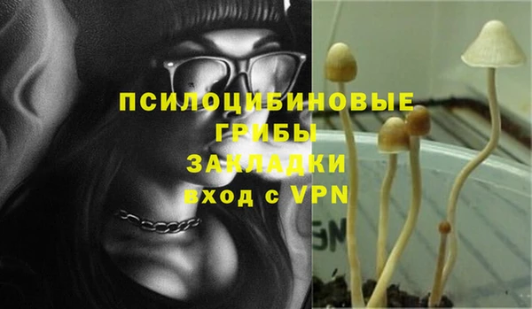 apvp Баксан