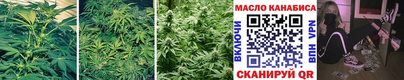 Купить закладки  Кулебаки  ТГК гашишное масло 